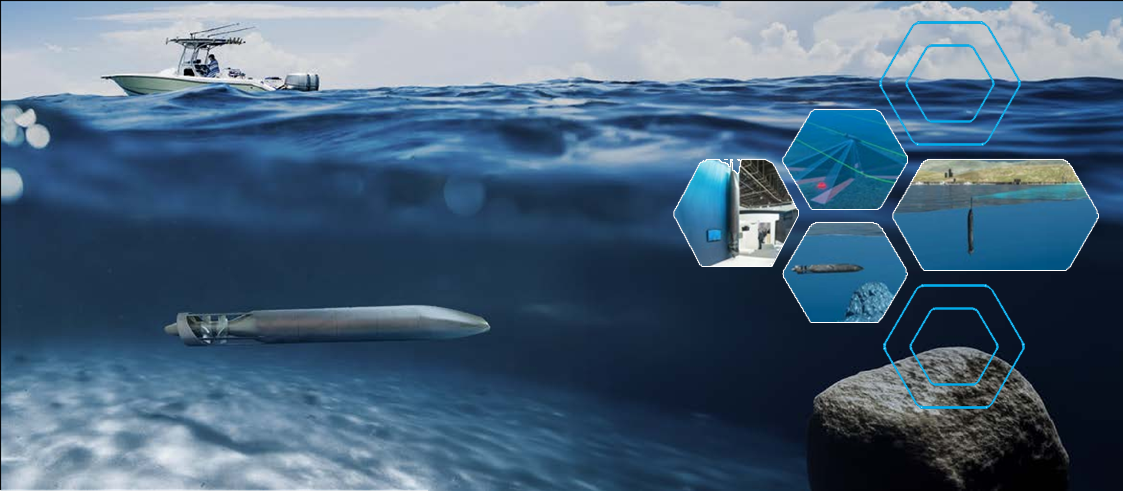 Illustration sous-marine